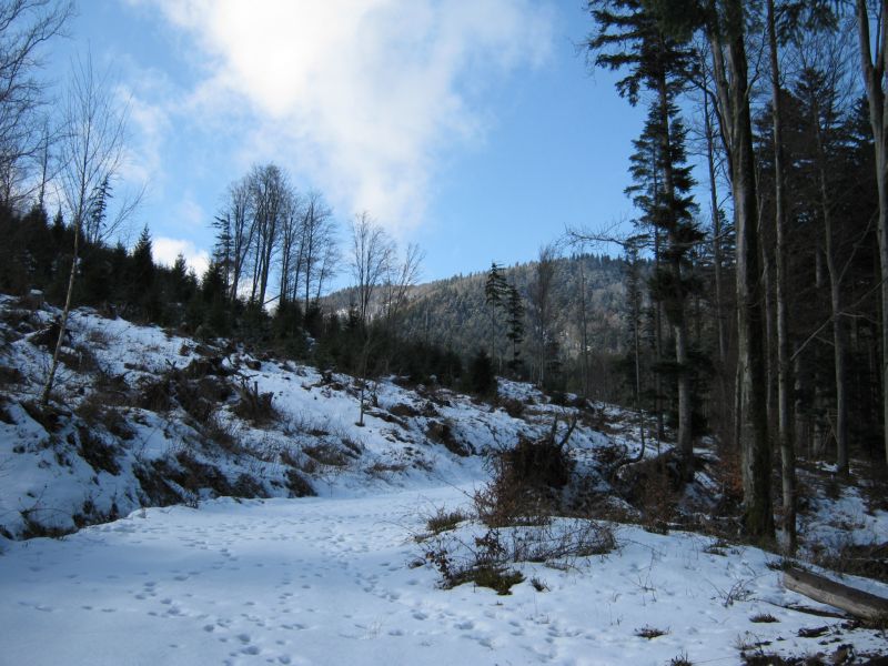 2010-02-20 Grossman (02) Look up at summit ridge